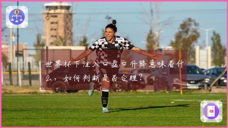世界杯下注入口盘口升降意味着什么,如何判断是否合理?