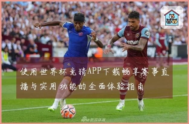 使用世界杯竞猜APP下载畅享赛事直播与实用功能的全面体验指南