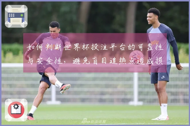 如何判断世界杯投注平台的可靠性与安全性，避免盲目追热点造成损失