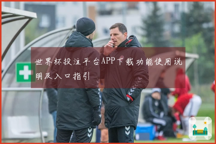 世界杯投注平台APP下载功能使用说明及入口指引