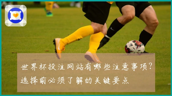 世界杯投注网站有哪些注意事项？选择前必须了解的关键要点