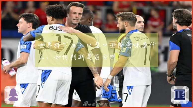 世界杯下注入口盘口升降意味着什么，如何判断是否合理？