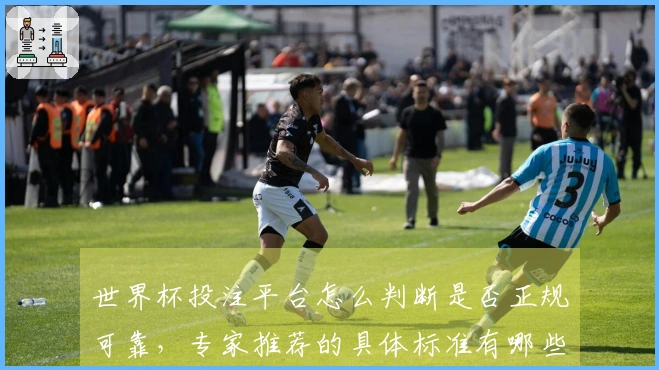 世界杯投注平台怎么判断是否正规可靠，专家推荐的具体标准有哪些