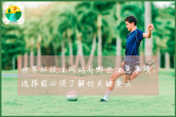 世界杯投注网站有哪些注意事项？选择前必须了解的关键要点