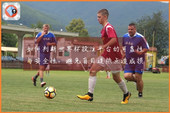 如何判断世界杯投注平台的可靠性与安全性，避免盲目追热点造成损失