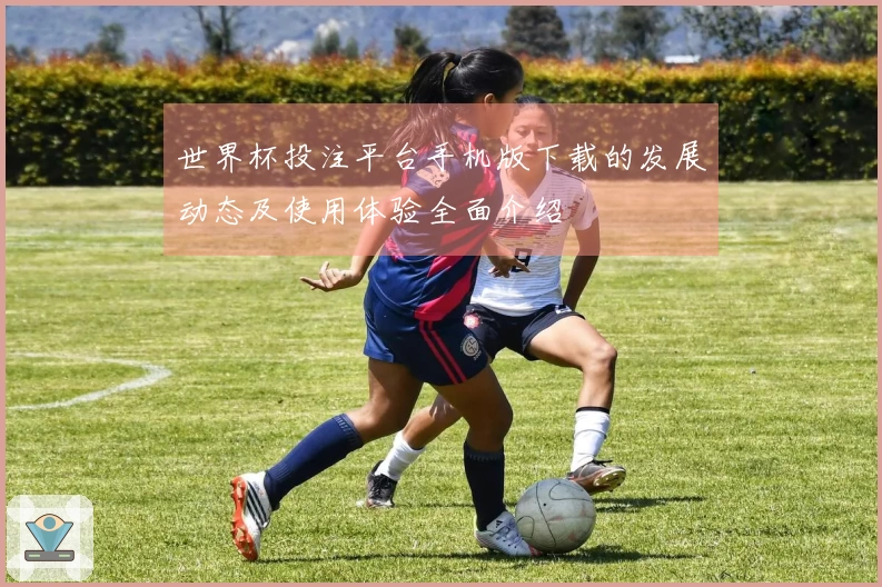 世界杯投注平台手机版下载的发展动态及使用体验全面介绍