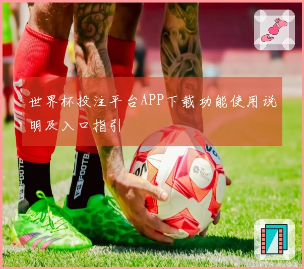 世界杯投注平台APP下载功能使用说明及入口指引